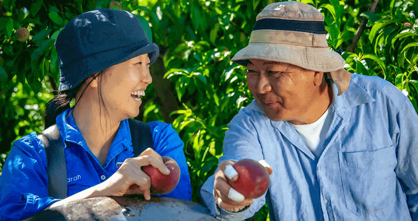 harvest work victoria