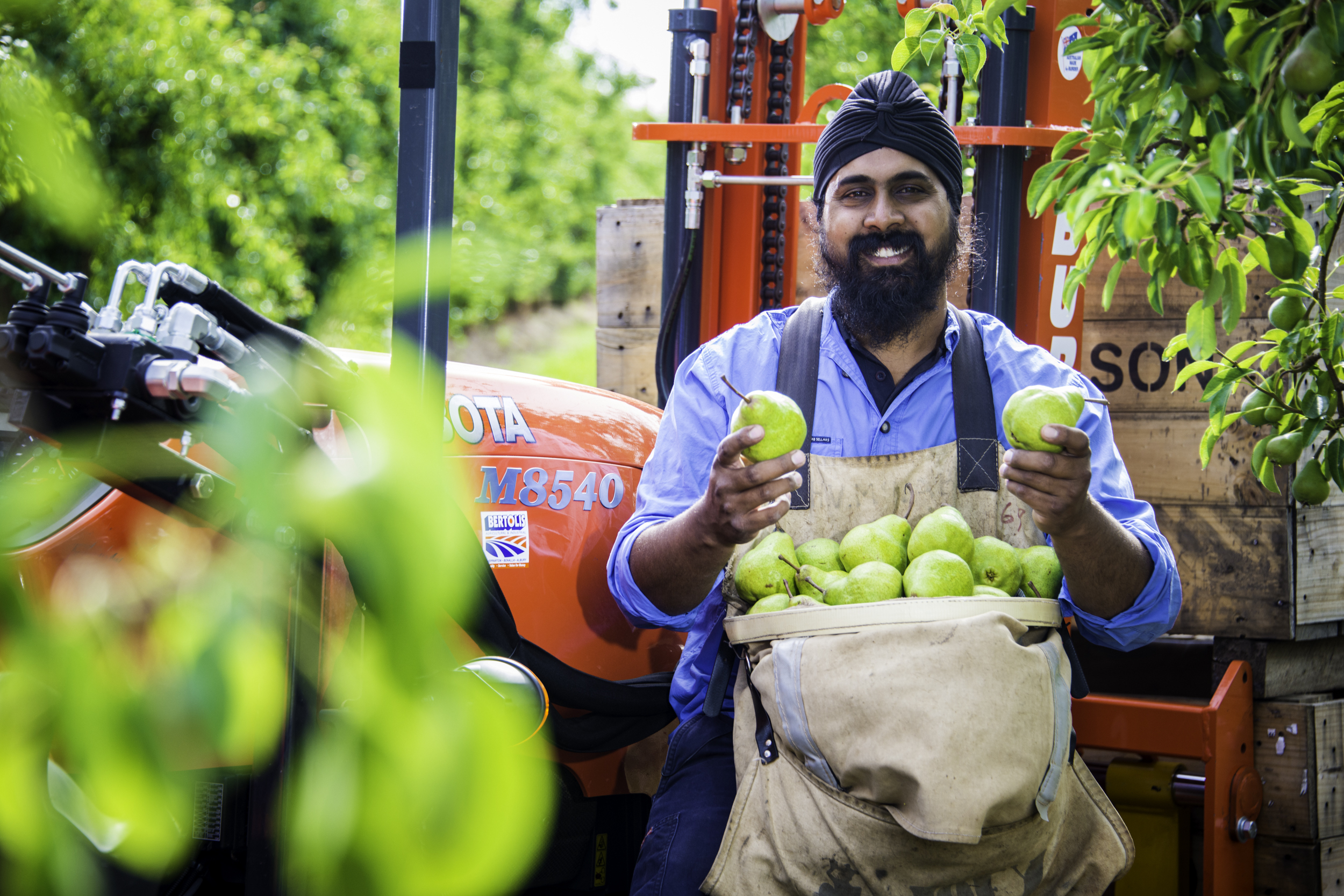 Fruit Packing Job