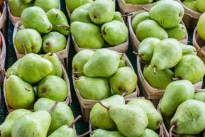 fruit packing job